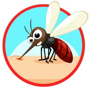 méthode la plus efficace contre les moustiques à l'intérieur